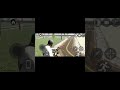 Finally All 💥 New Update Cheat Code 🤯 In Indian Bike Driving 3D + Secret Code'S || #newupdate