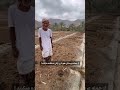 مرد باغیرتی که خیابان های شیراز را تبدیل به جنگل کرد