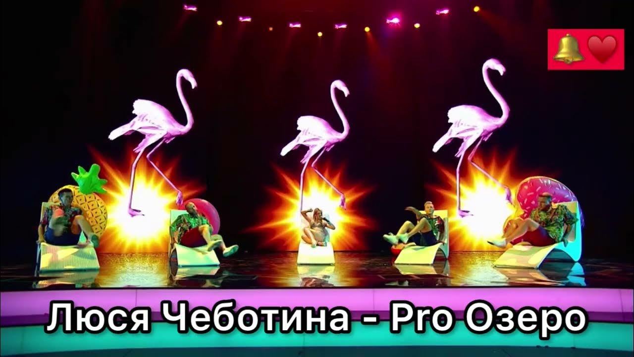 Улитка оракул шоу конфетка. Улитка оракул шоу конфетка. Конфетка тнт 3 выпуск. Братство бобра альбом. Улитка оракул шоу конфетка.