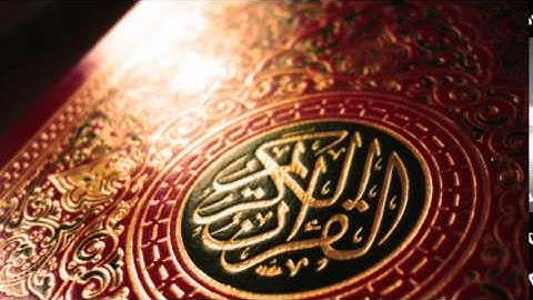 توفيق الصائغ - سورة فصلت