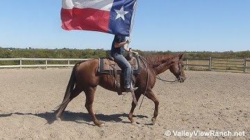 Danceaholic 008 - carrying the flag! - ValleyViewRanch.net