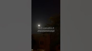 ياسر الدوسري | سورة القصص