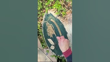 Cyanotypes on tree stumps! Full length video with directions on my channel. Subscribe! #cyanotypes