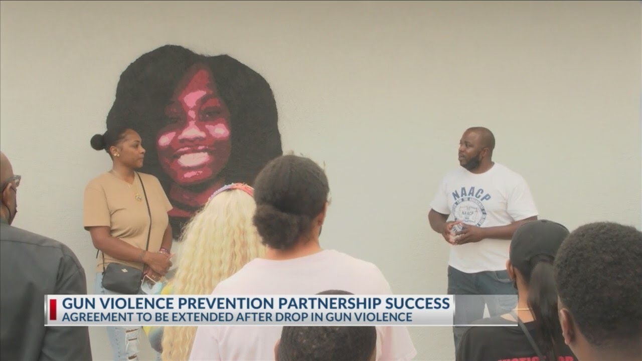 Gun violence prevention partnership success - YouTube