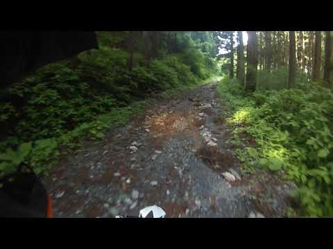 林道　いわき市　三和　二本川（後半）20200617