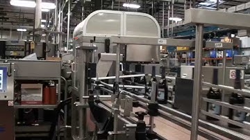 Wine Line Under Control - Safety and Quality