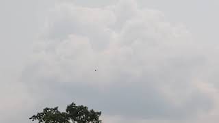 Cox 020... Helicopter?