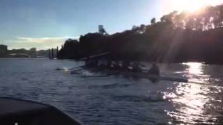 IMG 6320