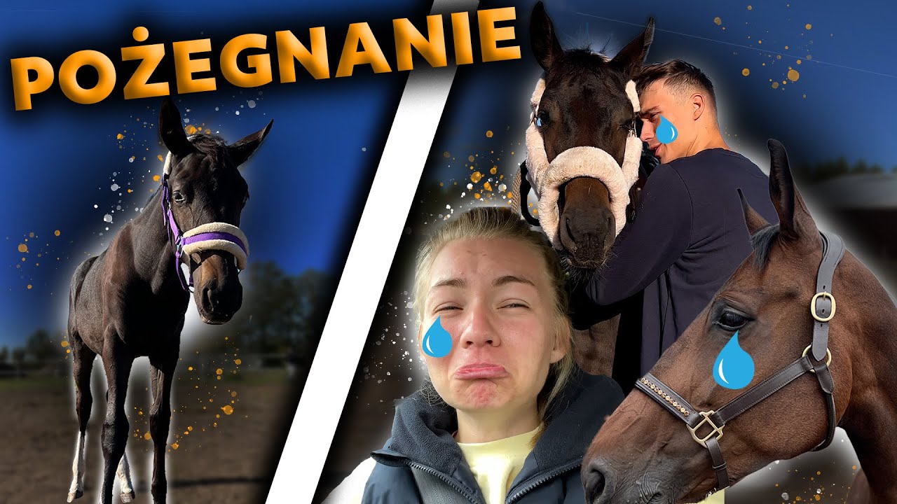 WYJAZD PRIMY DO NOWEJ STAJNI 🥹 | POŻEGNANIE Z RIO