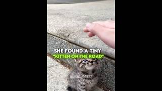 She Saved a Tiny Kitten 🥹❤️‍🩹 #shorts #emotional #kitten