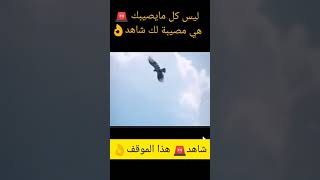 شاهد??️ هذا الموقف وخذ العبرة بما يصيبك في حياتك