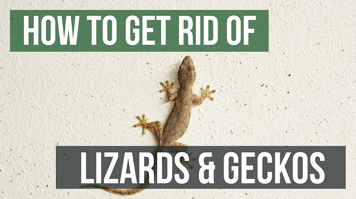 Effective Methods for Controlling Lizards: A Comprehensive Guide