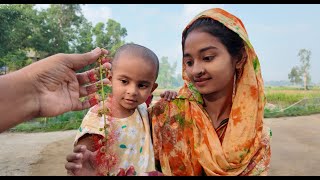 হিজল ফুল দেখেছেন কখনো | Doyel Agro