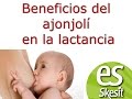 Beneficios del ajonjoli en la lactancia - YouTube