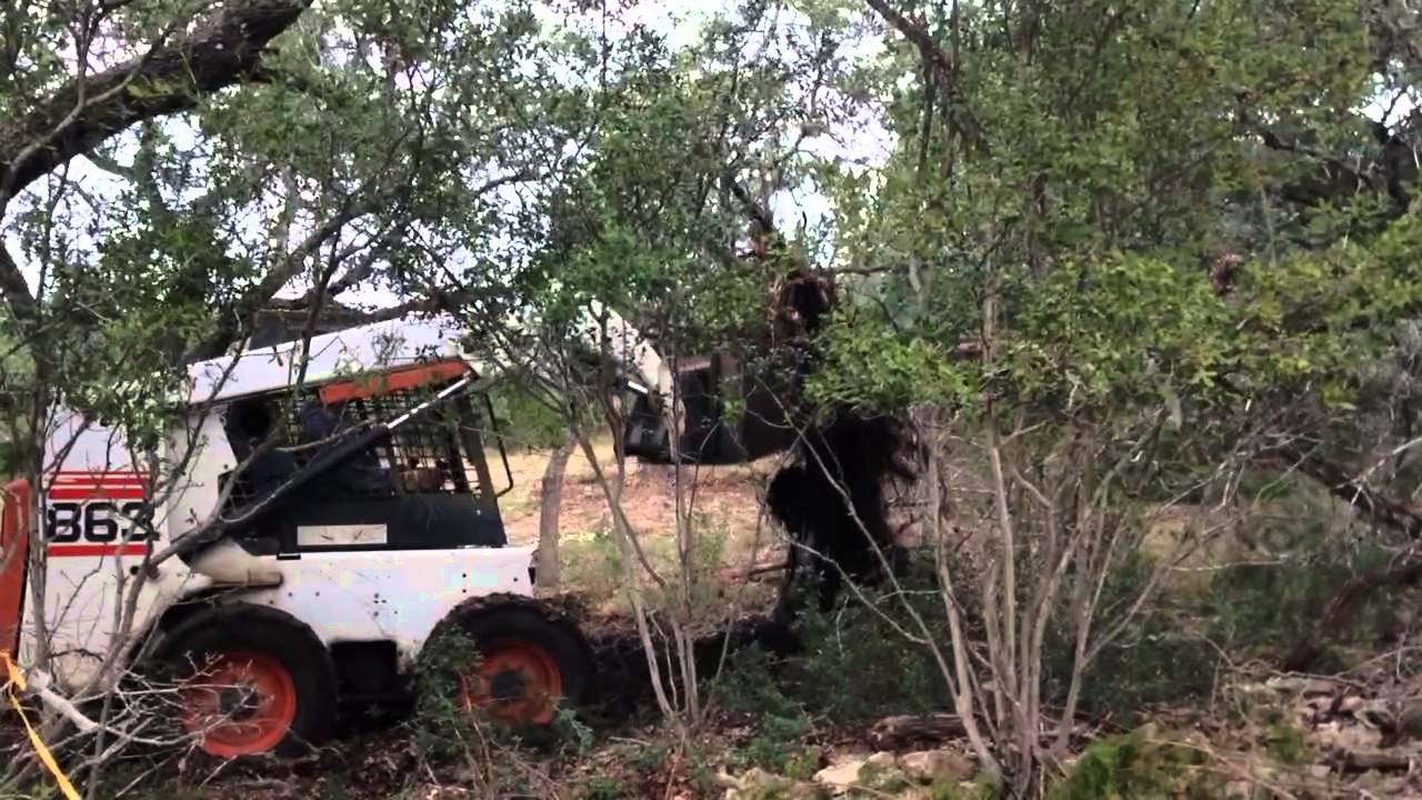 Cedar Tree Removal - YouTube