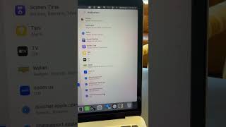 Mac OS removing Safari pop-up Notifications
