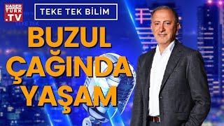 Buzul Çağında Dünya Nasıl Bir Yerdi? Teke Tek Bilim