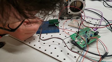 two monkeys one etb six hours later