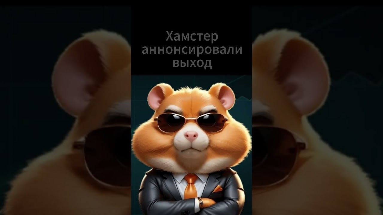 Хома/хамстер комбат 