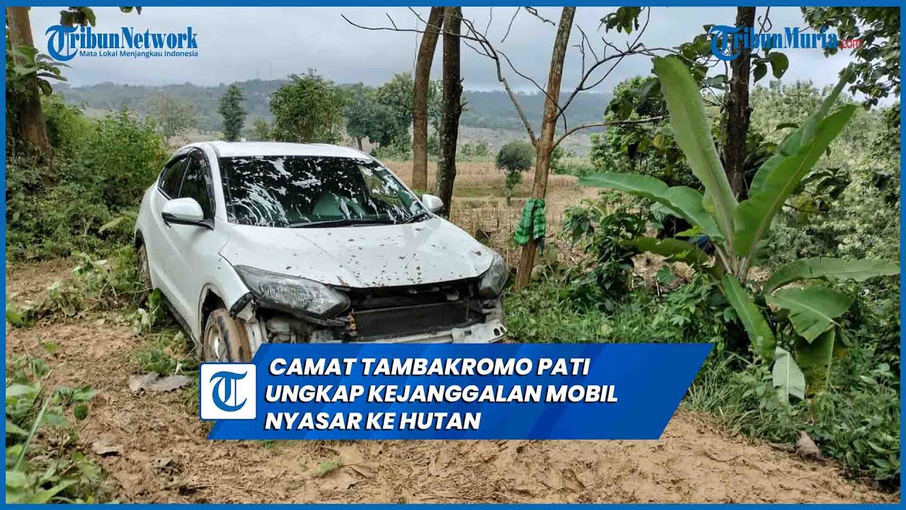 Camat Tambakromo Pati Ungkap Sejumlah Kejanggalan Mobil HRV Nyasar ke Hutan Desa Wukirsari