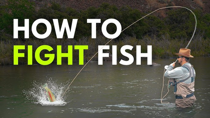 How to set the hook in fly fishing 