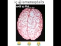 Fisi Mind Fisi Mind