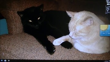 Making a quick launch shutdown button for Windows XP, 7, 8 &10