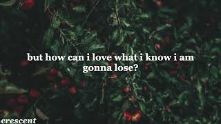 fallen fruit - lorde (lyrics)