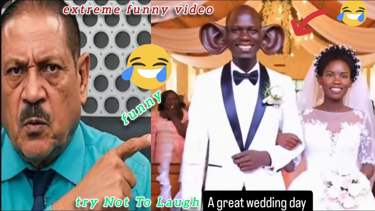 Чрезвычайно смешные видео: попробуйте не засмеяться, часть 28