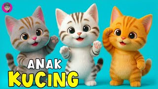 Meow Meow Kitten Song Cheerful and Funny Kids Song, Newest Songs for Kids & Toddlers