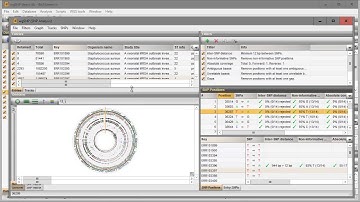 Whole genome SNP: Perform wgSNP analysis and filter out relevant SNPs (BioNumerics 7.6)