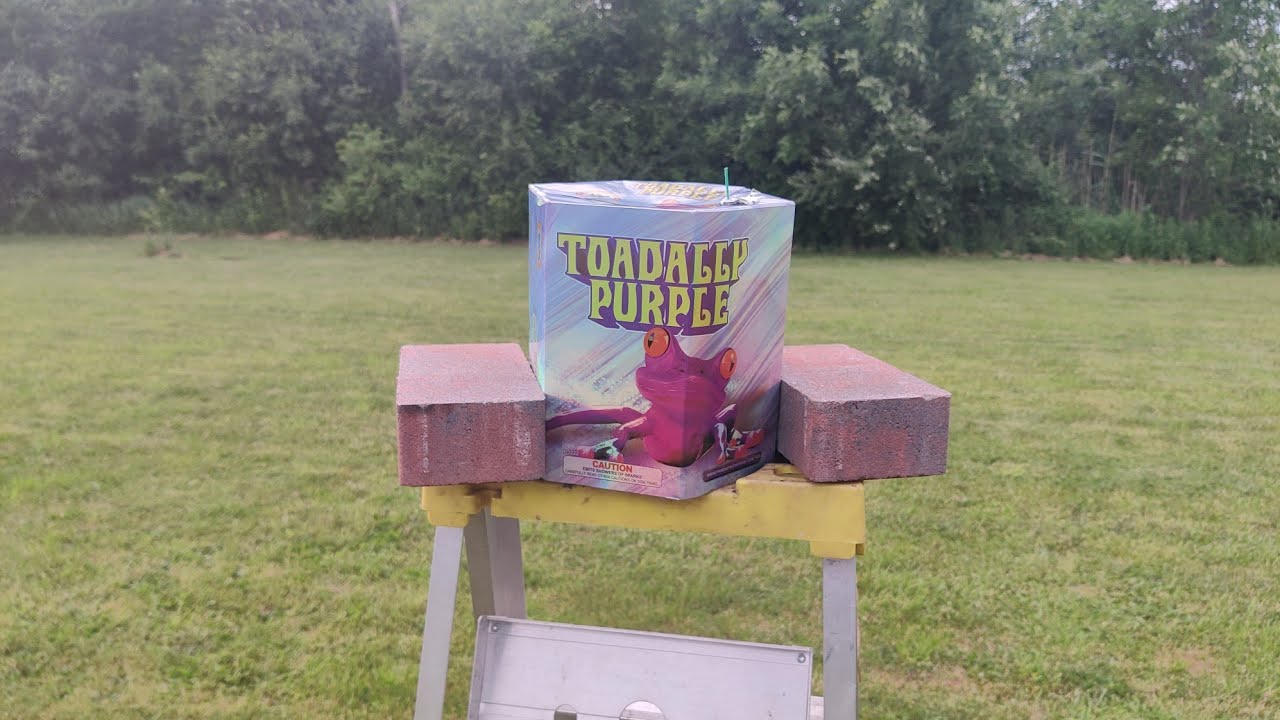 Toad Fireworks Toadally Purple firework fountain from Winda Fireworks. Full Demo! # ...