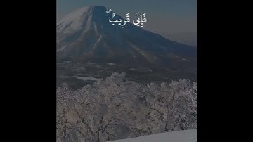تلاوة خاشعة تريح القلب بصوت القارئ اسلام صبحي | وَإِذَا سَأَلَكَ عِبَادِي عَنِّي فَإِنِّي قَرِيبٌ ۖ