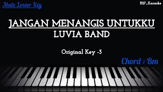Luvia - Jangan Menangis Untukku (Piano Karaoke - Male Lower Key)