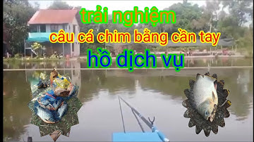 đi câu cá chim hồ dịch vụ