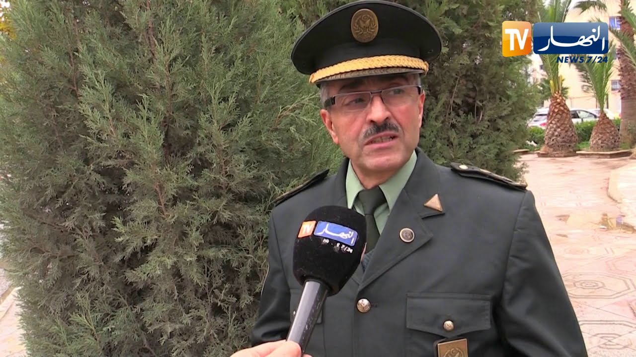 باتنة: شجرة العرعار البخوري النادرة في منطقة الوراس تسير إلى الزوال