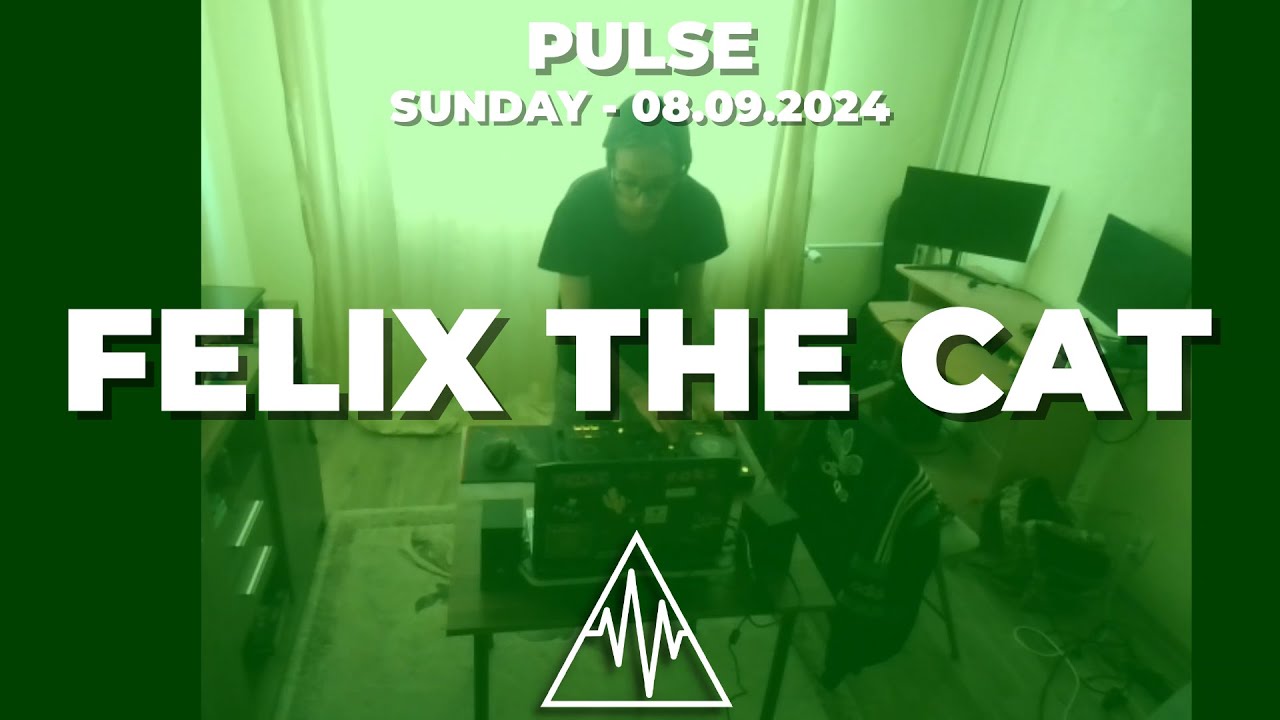 Felix the cat @ Pulse 2024 - Sunday
