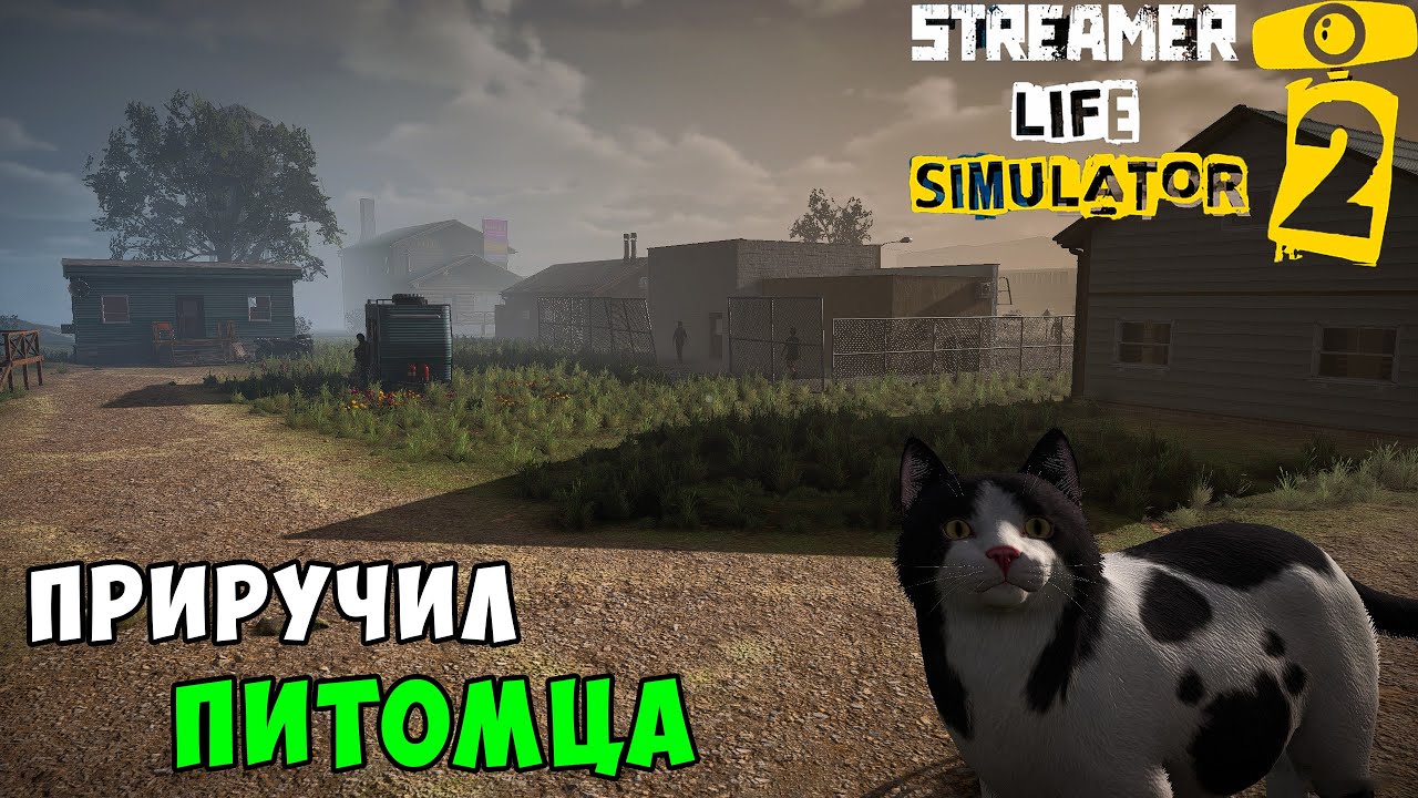 Streamer Life Simulator 2 - Завёл себе кота. Начинаю заниматься майнингом - Часть 4