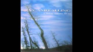 Skycamefalling - Of Adornment And Disgust