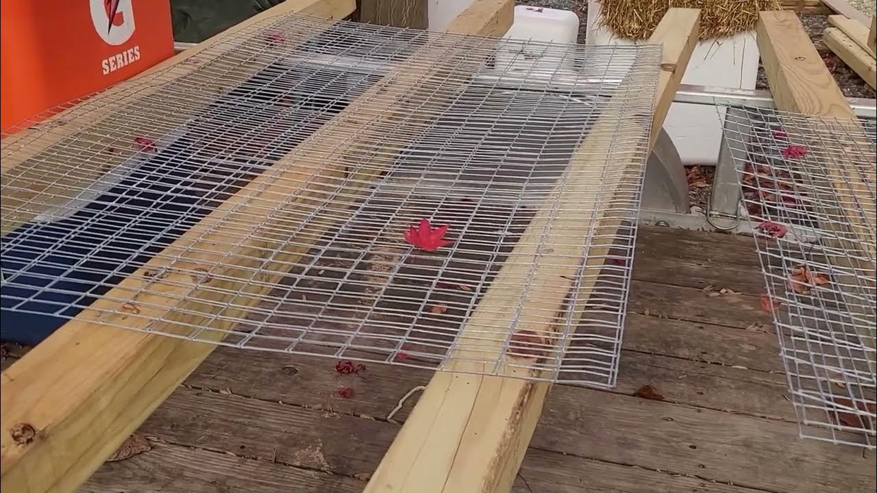 Easy diy jumbo coturnix quail stackable portable sellable cage with
