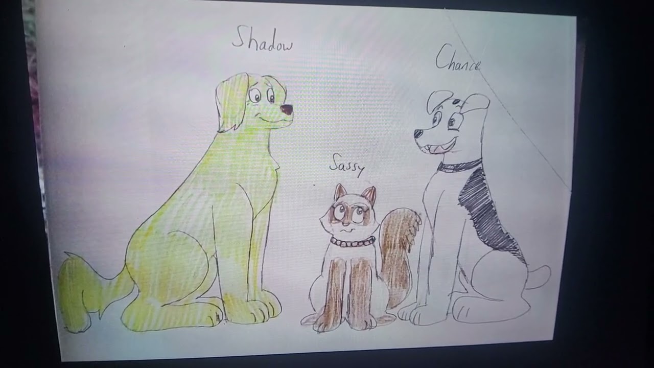 Shadow, Chance, and Sassy.