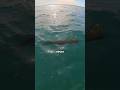 Pranked By An EVIL Fish 🐟🎣