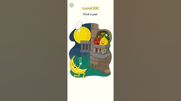 DOP 2 Level 216 | DOP 2 Find a pair