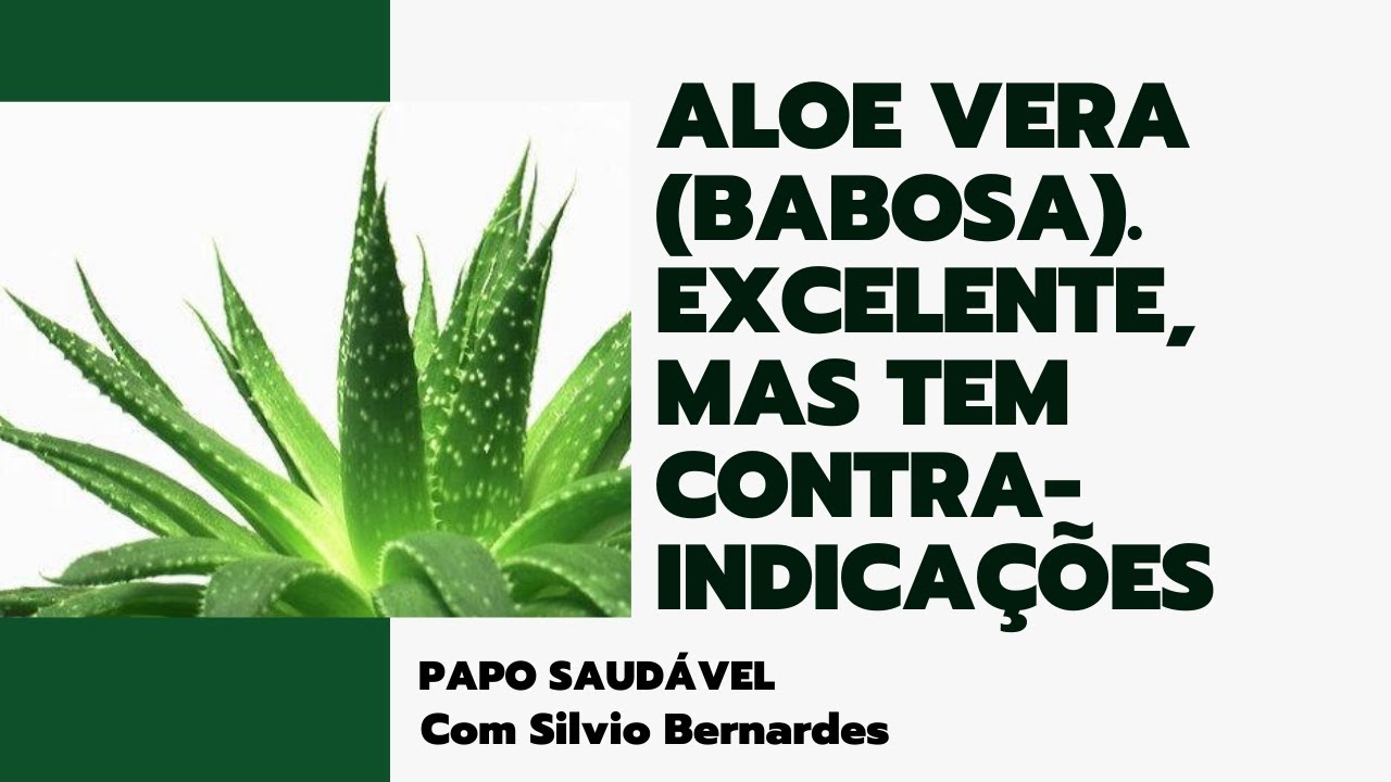 ALOE VERA (BABOSA). EXCELENTE! MAS TEM CONTRA-INDICAES.