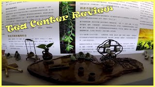 Tea Center in Hainan Island Review. Best Travel to China