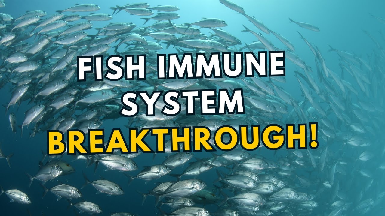 Innovative Study Reveals neo-functionalization of TLR7 in pisciformes