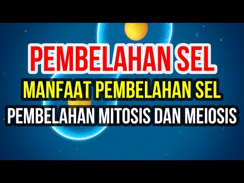 Video: Apa Itu Pembelahan Sel?