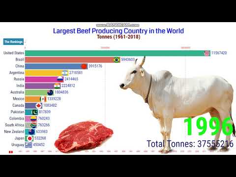 Which State Is The Largest Producer Of Beef