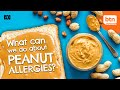 Could This Prevent Future Peanut Allergies?