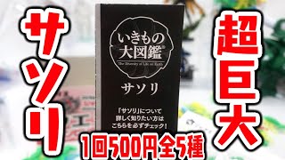 3Dスキャンでサソリを完全再現！1回500円全5種「いきもの大図鑑 サソリ」全種類 開封レビュー【おもちゃ】ダイオウサソリ大は170mmの巨大さ！